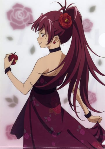 Kyoko Sakura A4 Clear File - Puella Magi Madoka Magica Anniversary Stage (Aniplex, Pre-owned)