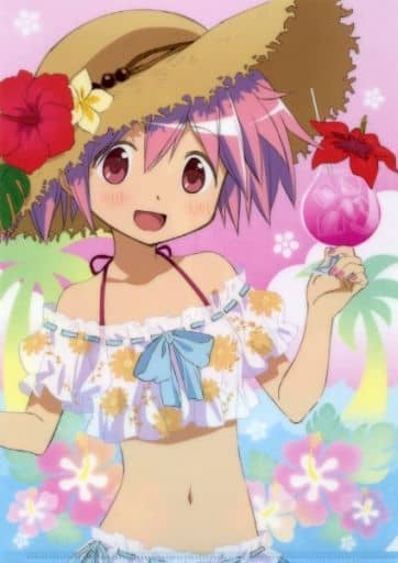 Madoka Kaname (Swimsuit) A4 Clear File - Puella Magi Madoka Magica 10th @ Dash Store Collection (Movic, Pre-owned)