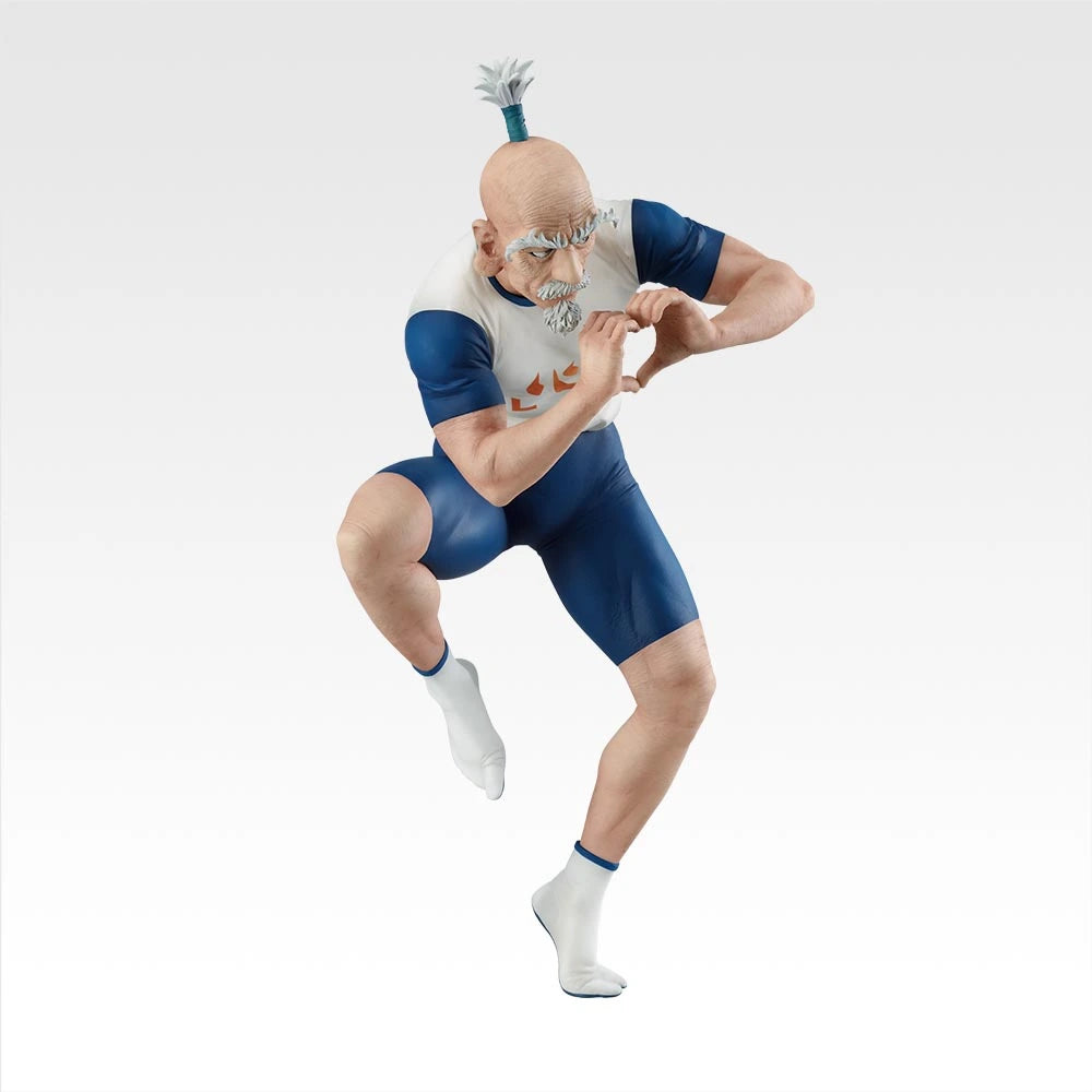 Netero MASTERLISE Figure 1