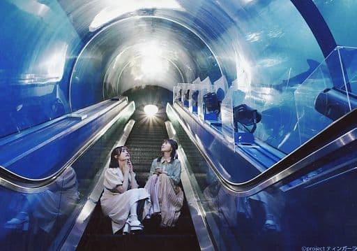 Miku Ito & Rikako Aida Bromide Photo Card - The Aquatope on White Sand Memorial Fan Book Bonus
