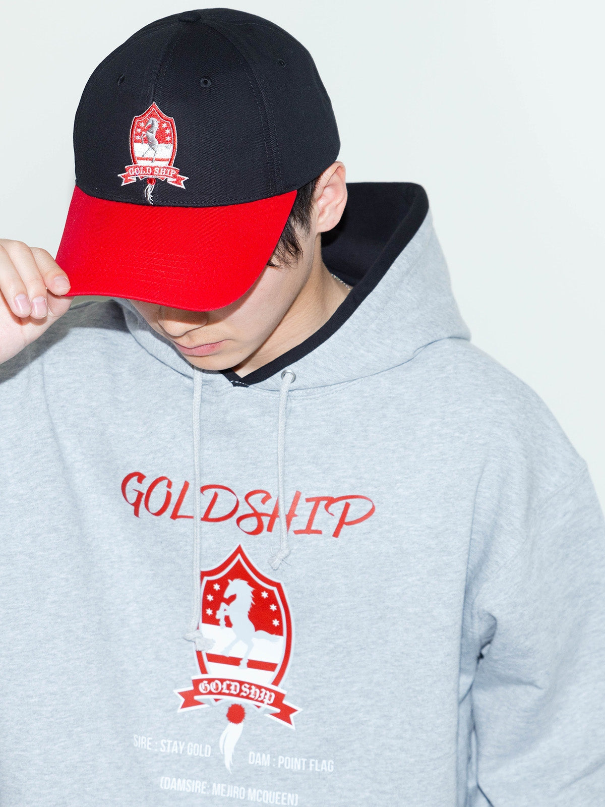 Gold Ship Hoodie (Grey) - Brand New - Official JRA Racehorse Apparel - S/M/L/XL/XXL