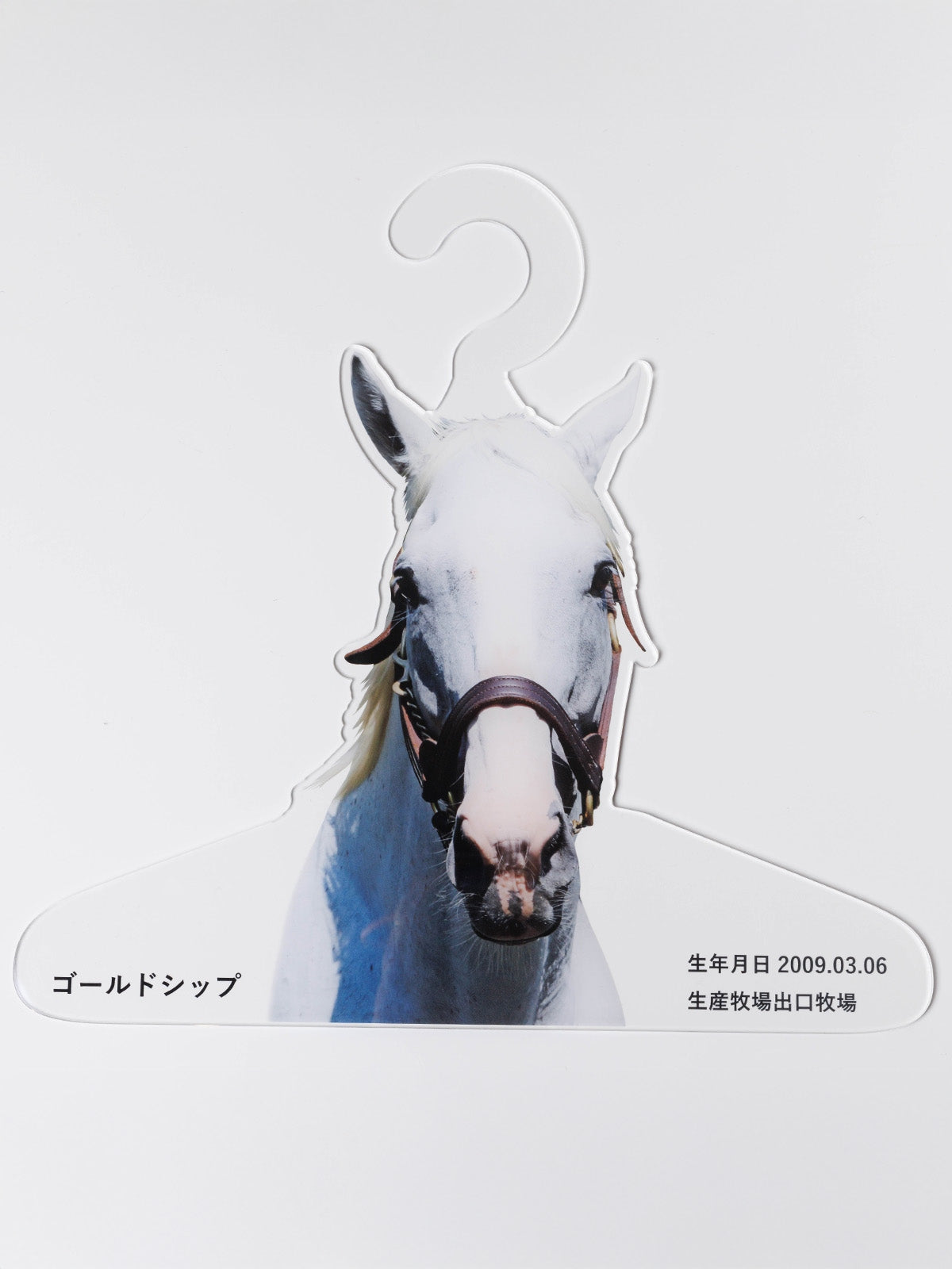 Gold Ship Special Acrylic Hanger - Brand New - Official JRA Racehorse Goods