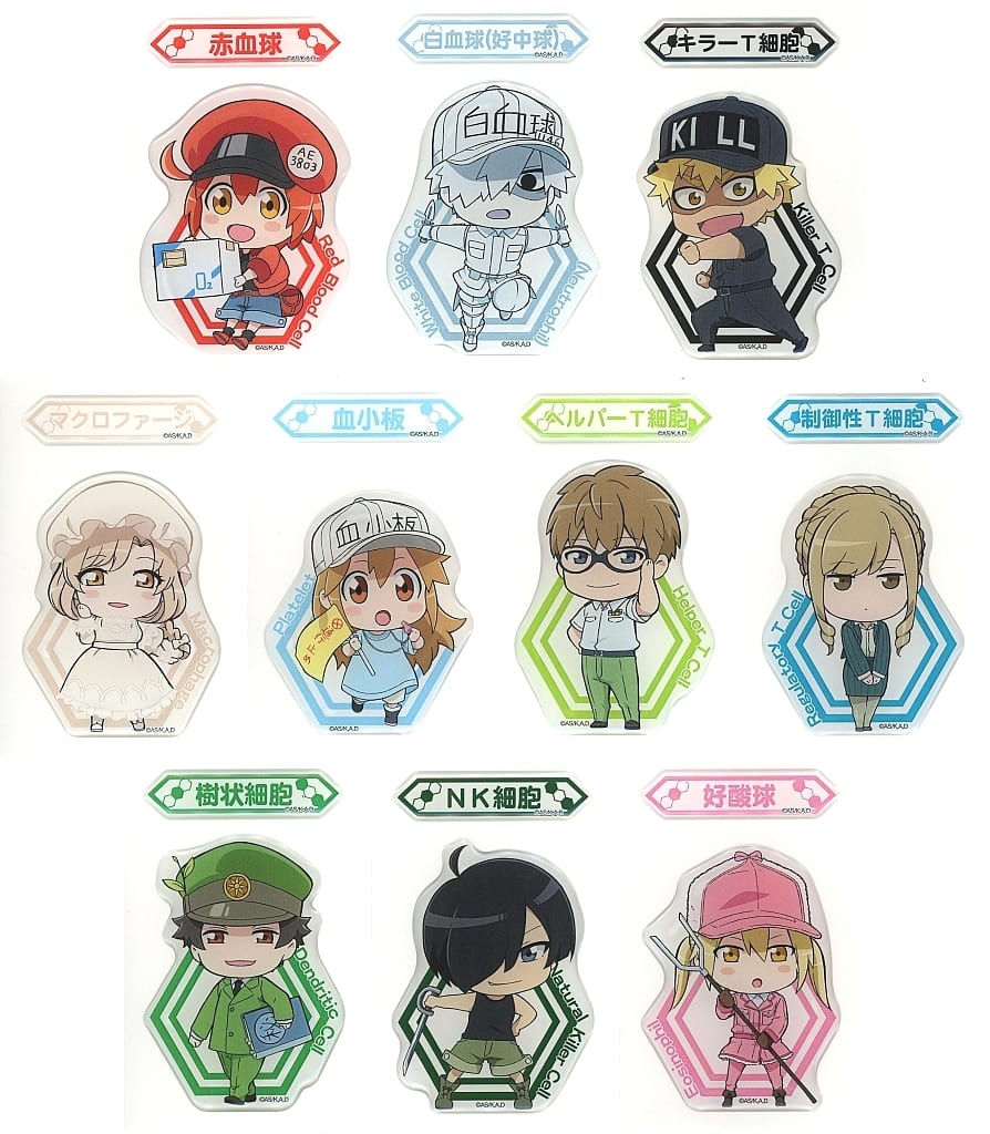 Cells at Work! Potting Sticker Set of 10 Types - Shimizu Sangyo (Pre-owned)
