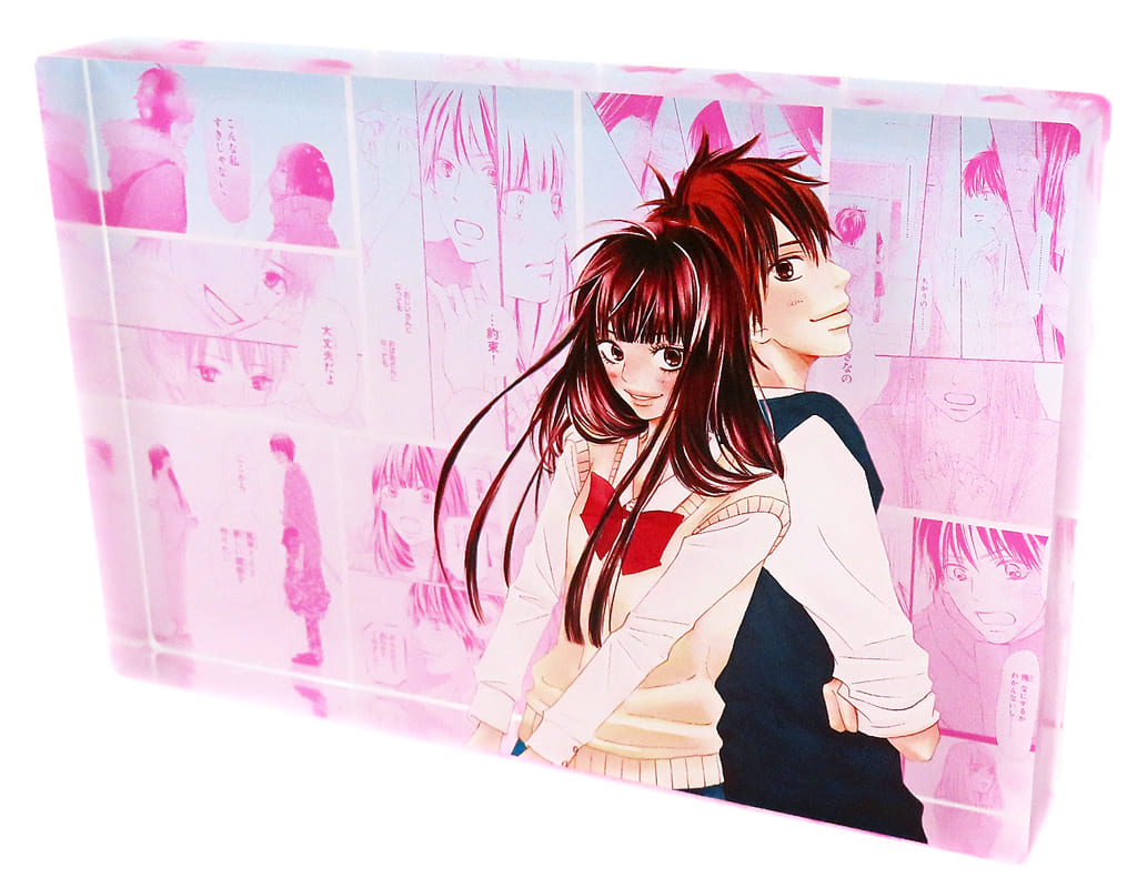 Kimi ni Todoke: From Me to You Sawako Kuronuma & Shouta Kazehaya DRAW!DRAW! Online Lottery Acrylic Block - Arma Bianca