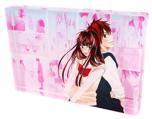 Kimi ni Todoke: From Me to You Sawako Kuronuma & Shouta Kazehaya DRAW!DRAW! Online Lottery Acrylic Block - Arma Bianca