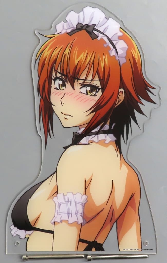 Grand Blue Dreaming Chisa Kotegawa FAM Kuji Season 2 Bust-Up Acrylic Stand - Nagisa