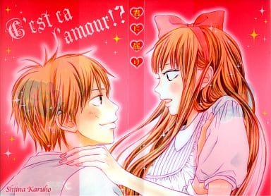 Kimi ni Todoke: From Me to You Sawako & Kazehaya Natsucomi 2007 Book Cover