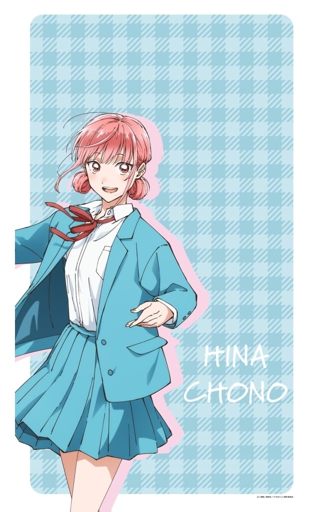 Blue Box Hina Chono Multi Tapestry Noren Curtain Tapestry (Blue Box Tapestry Noren) - Matsumoto Shoji