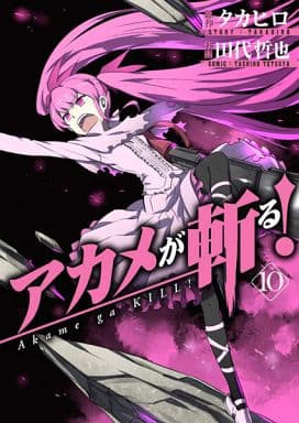 Akame ga Kill! Akame Vol. 10 Manga Book (Pre-owned)