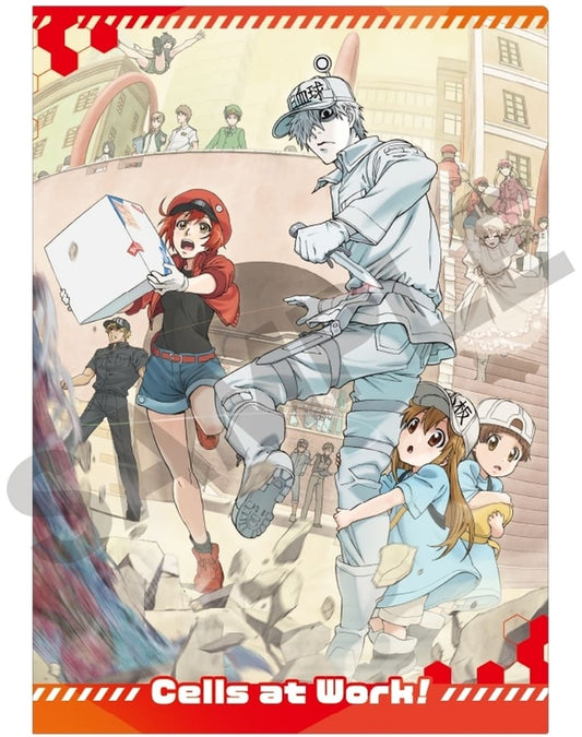 Cells at Work! Key Visual A4 Single Clear File - Cells at Work! Clear File (Used) - Kraks