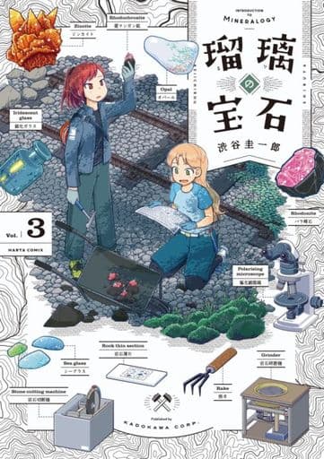 Ruri Rocks Vol. 3 Manga Book