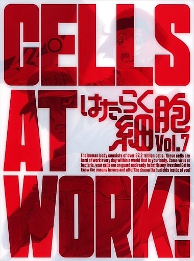 Cells at Work! Blu-ray Vol. 7 Limited Edition (BD+CD) - Aniplex