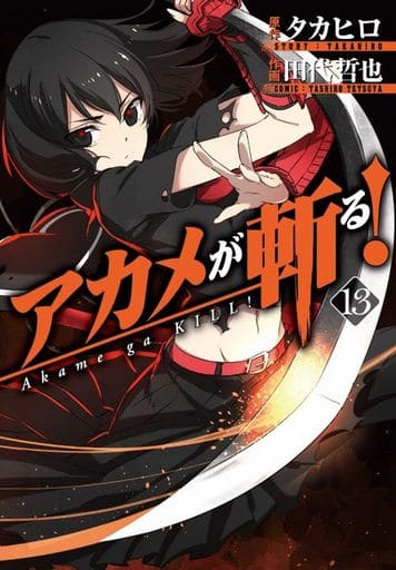 Akame ga Kill! Akame Manga Volume 13 (Used)