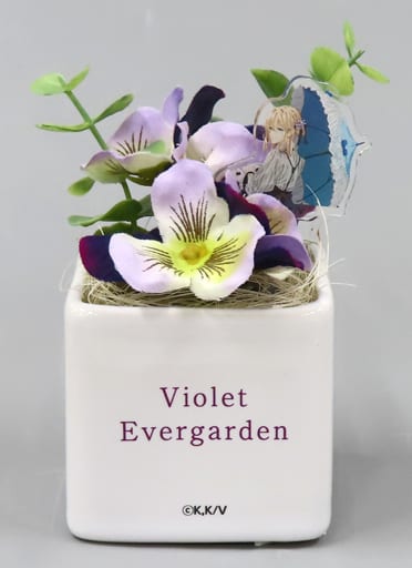 Violet Evergarden × Garden Museum Hiei Fake Flower