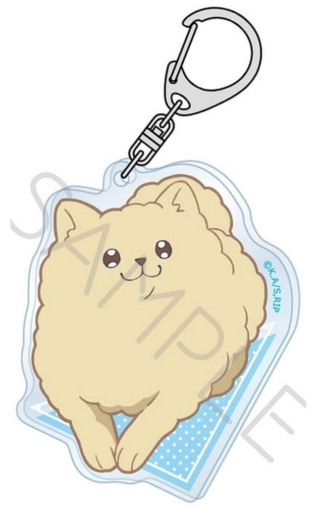 The Ramparts of Ice Ponta Acrylic Keychain