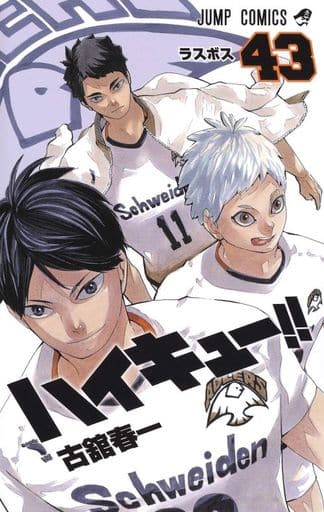 Haikyu!! (Manga) Vol. 43 Manga