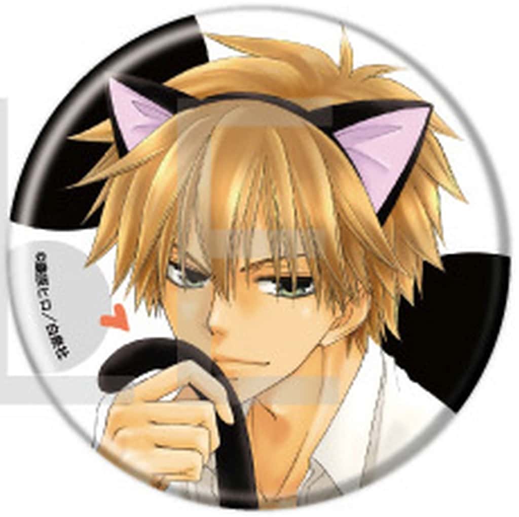 Maid Sama! Takumi Usui Can Badge (Pre-owned) - A3