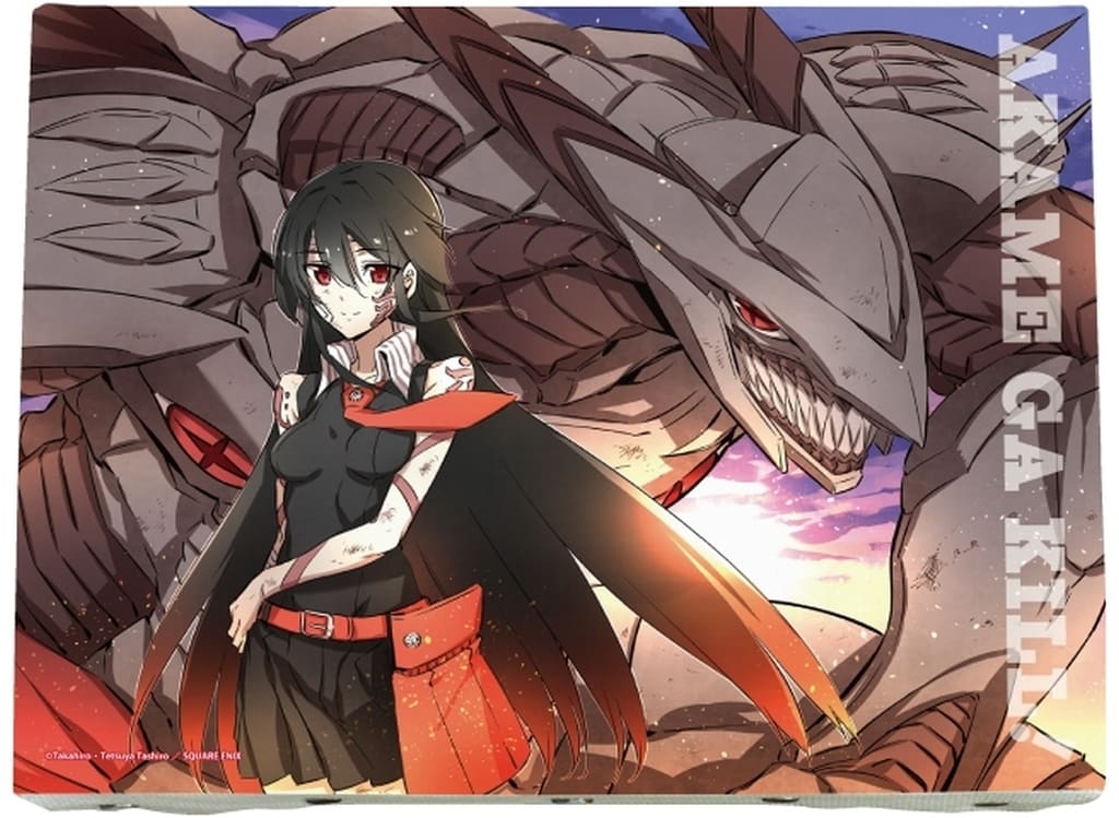 Akame ga Kill! Akame Canvas Board 0 Size F Art Print - A3 (Pre-owned)