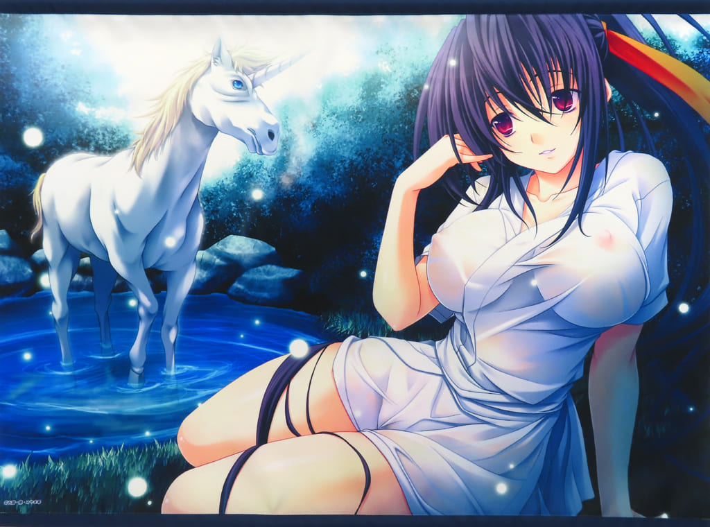 High School DxD Akeno Himejima Kuji Biki-do Akeno ga Ippai Kuji Unicorn B2 Tapestry - KADOKAWA