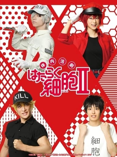 Cells at Work! Season 2 Blu-ray+DVD Limited Edition (Pre-owned) - Anime-Gakushu Cells at Work!