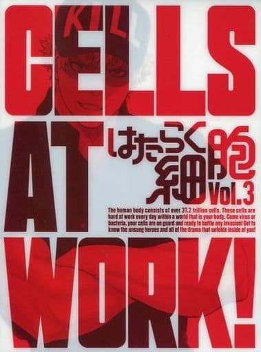 Cells at Work! Blu-ray Limited Edition - Anime Disc (Used)