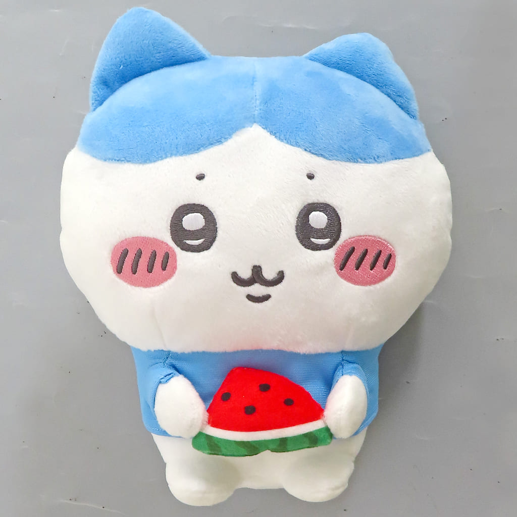 Chiikawa Hachiware Plush Prize Figure Plush (Pre-owned)