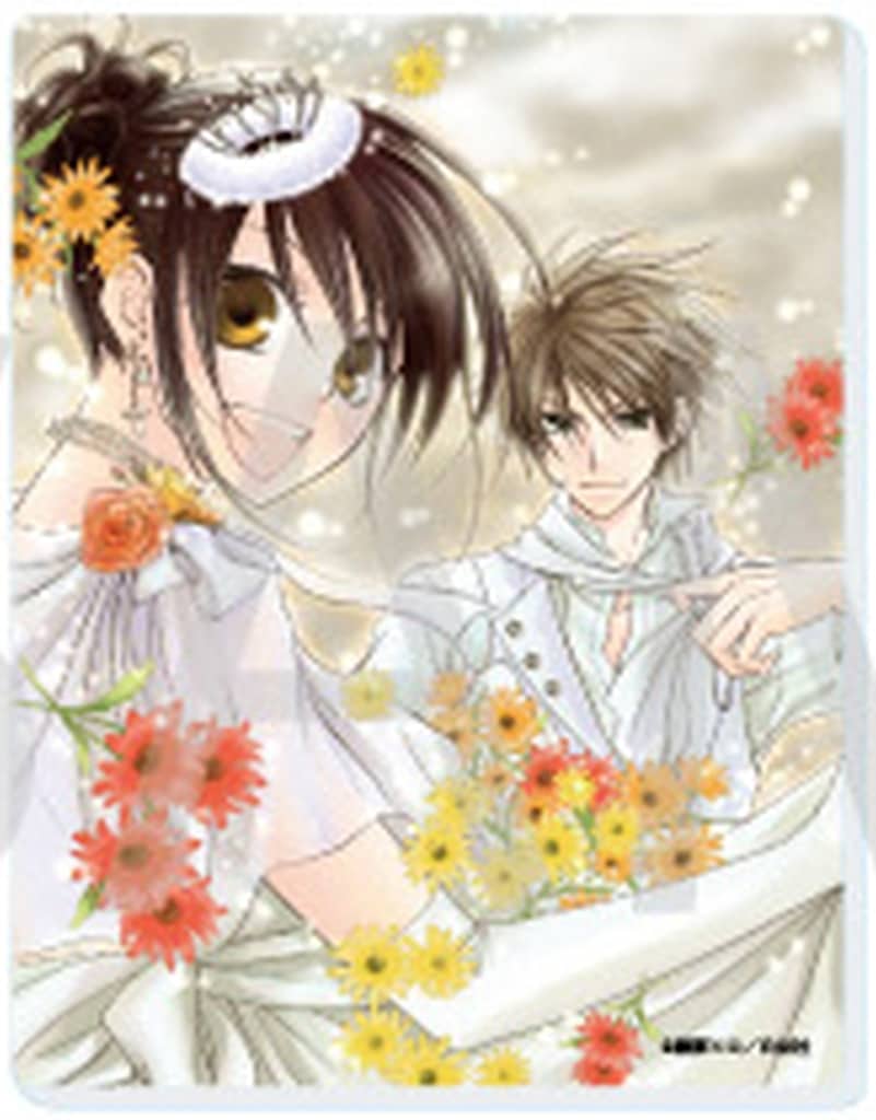 Misaki Ayuzawa Takumi Usui Maid Sama! Acrylic Card 01 - A3