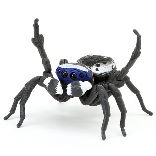 Persona Personatus (Male) Ikimono Daizukan Peacock Spider 2000% Size Figure - Bandai