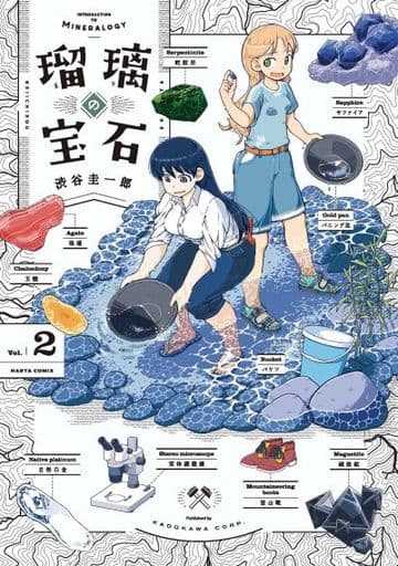 Ruri Rocks Vol. 2 Book