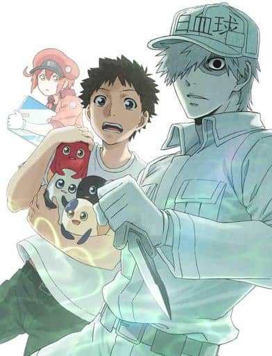 Cells at Work!! 3 Limited Edition Blu-ray (Pre-owned)