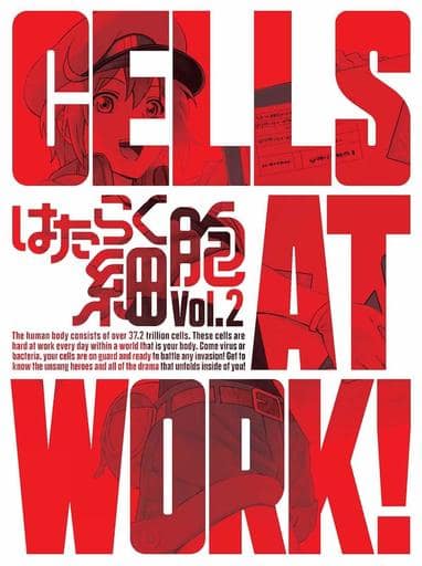 Cells at Work! Blu-ray/DVD Anime Limited Edition Vol. 2 (Used) - Aniplex