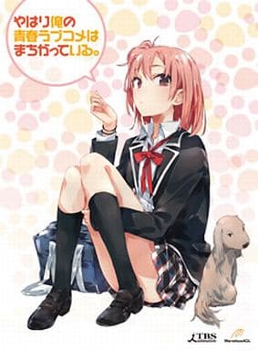 My Teen Romantic Comedy SNAFU Volume 2 Limited Edition DVD