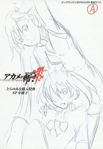 Akame ga Kill! Akame Pre-owned Bonus 8-Page Booklet from Toranoana (Leaflet, Booklet)