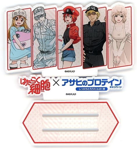 Cells at Work! Original Acrylic Stand Asahi Protein Receipt Campaign Prize A (Pre-owned)