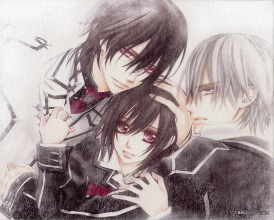 Vampire Knight Canvas Art Yuki Cross Zero Kiryu Kaname Kuran Character Goods Used