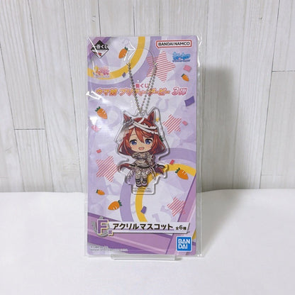 Super Creek Special Fan Set - Umamusume Pretty Derby Acrylic Board, Can Badges, Keychain and Mascots - Used Excellent - image 12