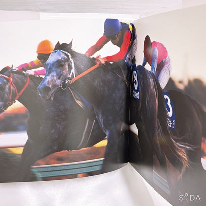 Oguri Cap Memorial Book & Merchandise Set - Umamusume Pretty Derby (Used) - image 3
