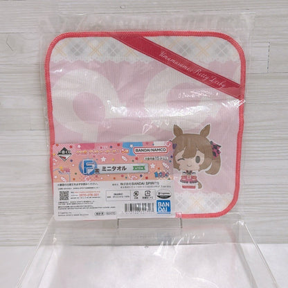 Smart Falcon Special Fan Set - Umamusume Pretty Derby SEGA and Banpresto Figures with Acrylic Stand - image 18
