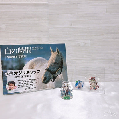 Oguri Cap Memorial Book & Merchandise Set - Umamusume Pretty Derby (Used)