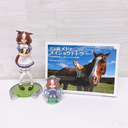 Meisho Doto Special Set - Umamusume Pretty Derby Figure, Acrylic Stand and Photobook
