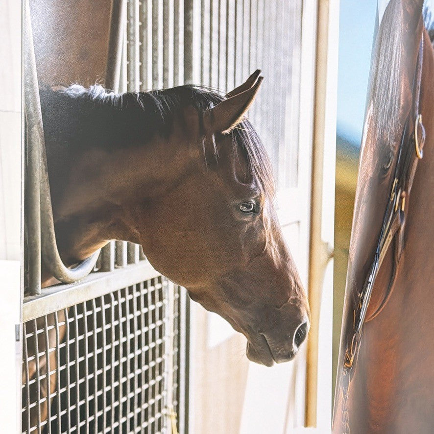 Liberty Island Photo Book Azayaka ni Hanayaka ni 2024 Japan Horse Racing - image 4