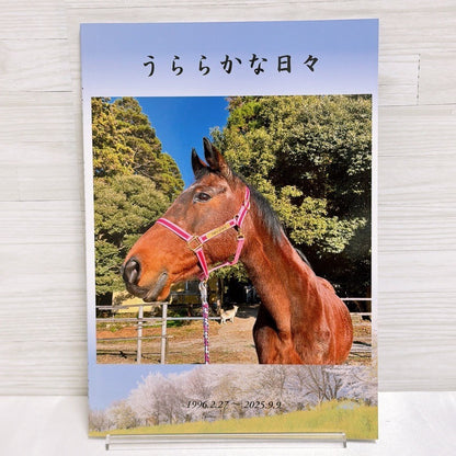 Racehorse Photo Book Set - Gold Ship, Oguri Cap, Meisho Doto, Haru Urara (4 Books)