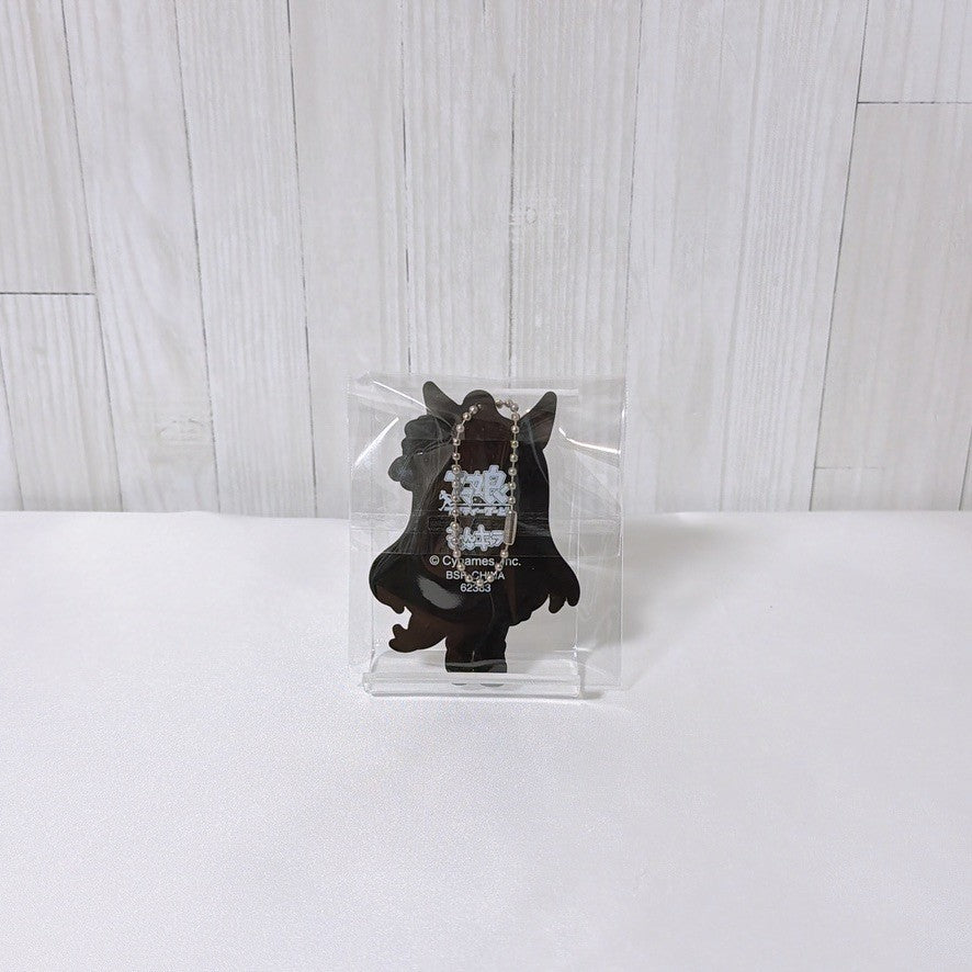 Mejiro Dober Special Fan Set - Umamusume Pretty Derby Figure, Mascot Ball Chain and Rubber Straps - image 13