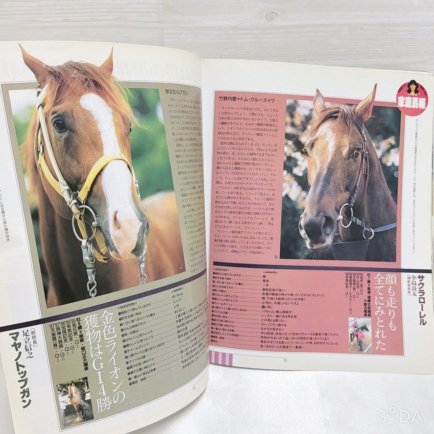 Mayano Top Gun Premium Set - Umamusume Pretty Derby - Mixed Condition - image 7
