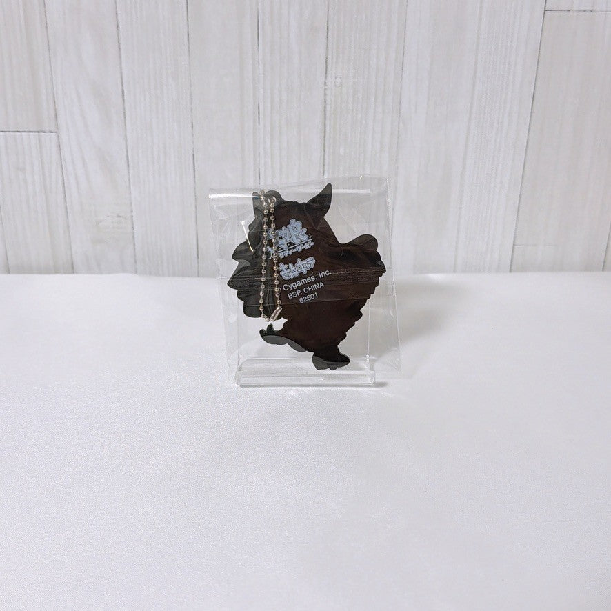 Mejiro Dober Special Fan Set - Umamusume Pretty Derby Figure, Mascot Ball Chain and Rubber Straps - image 15