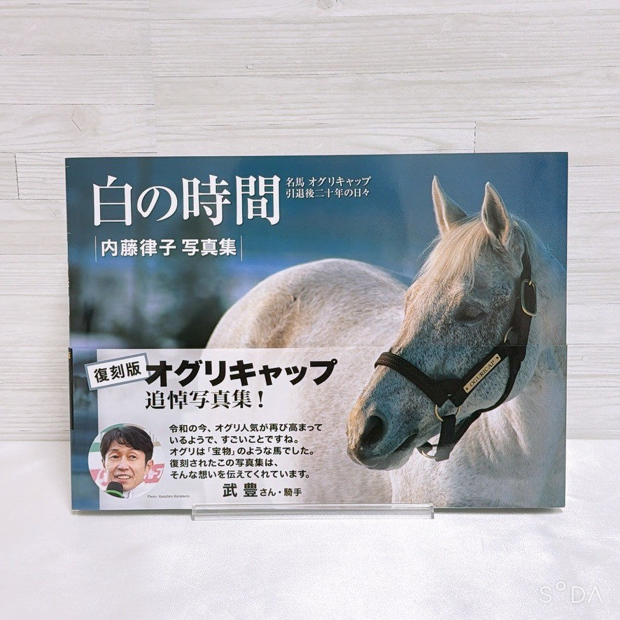 Oguri Cap Memorial Book & Merchandise Set - Umamusume Pretty Derby (Used) - image 2