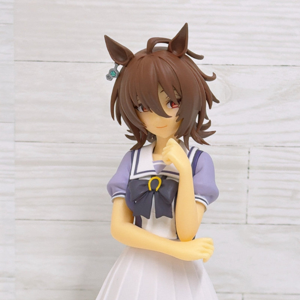 Agnes Tachyon Special Fan Set 5pc - Umamusume Pretty Derby Figure, Tapestry, Plush, Acrylic Stand & Card - image 13