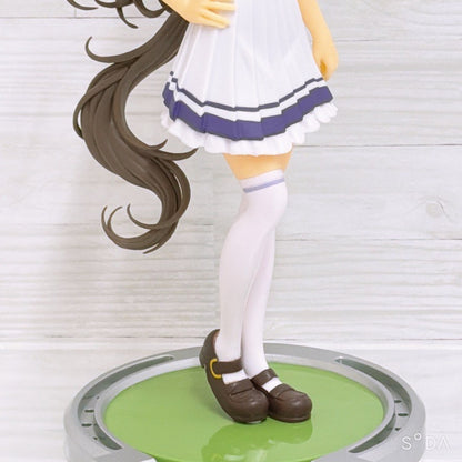 Mr. C.B. Special Set Figures and Accessories - Umamusume Pretty Derby - image 19