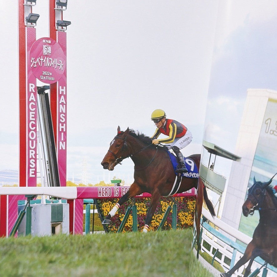 Liberty Island Photo Book Azayaka ni Hanayaka ni 2024 Japan Horse Racing - image 3