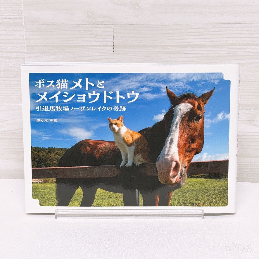 Meisho Doto Special Set - Umamusume Pretty Derby Figure, Acrylic Stand and Photobook - image 10